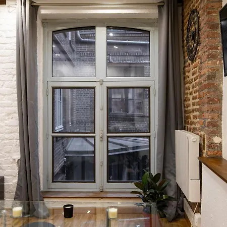 公寓 Modern And Functional In Old Town 里尔